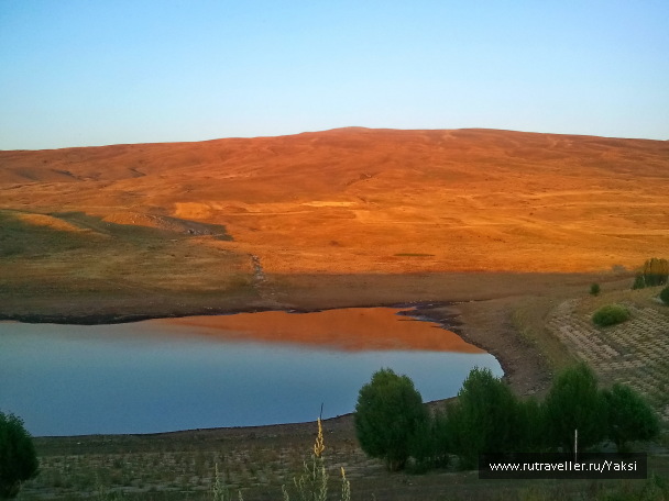 photo 1105445