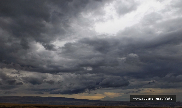 photo 1105510