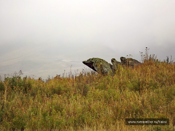 photo 1105511