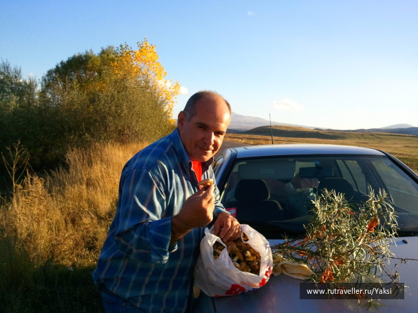 photo 1105570