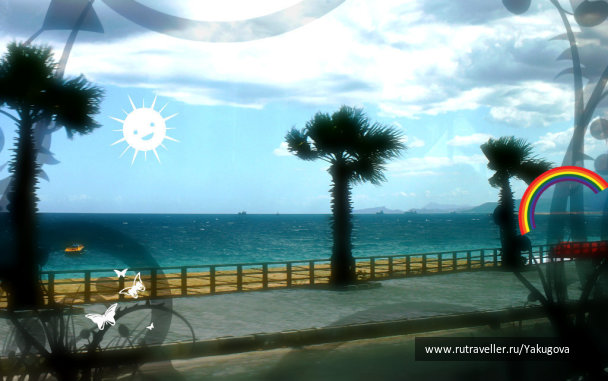 photo 224742