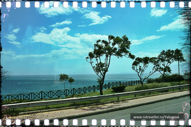 photo 224743