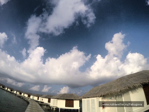 photo 928511