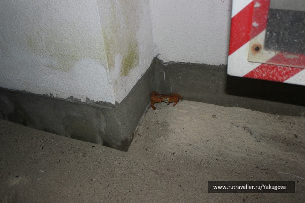 photo 932416