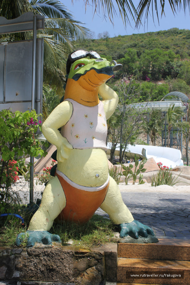 photo 998517