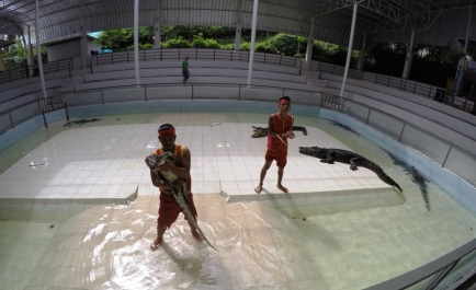 photo 1206660