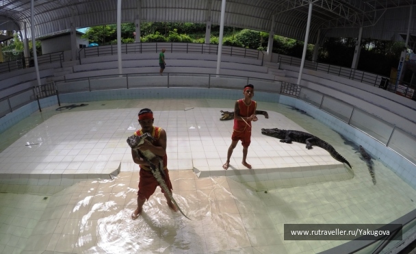 photo 1206660