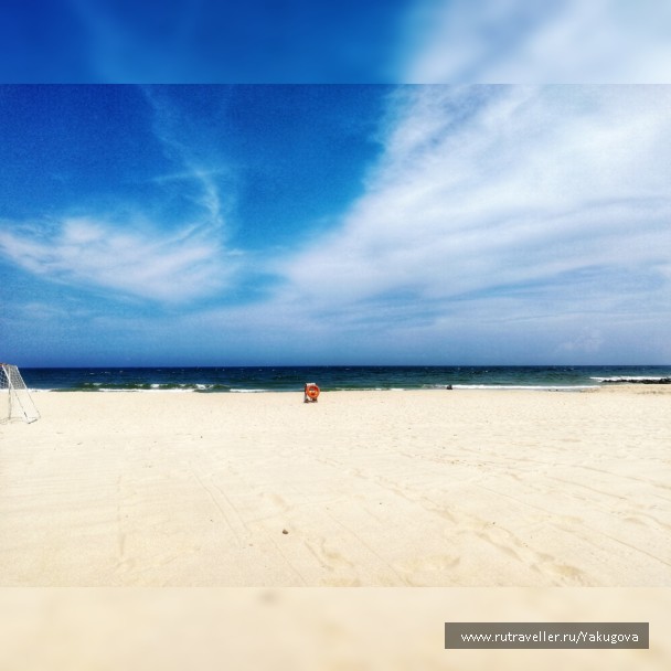 photo 1786306