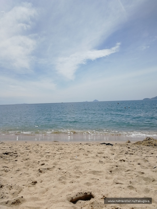 photo 1786309