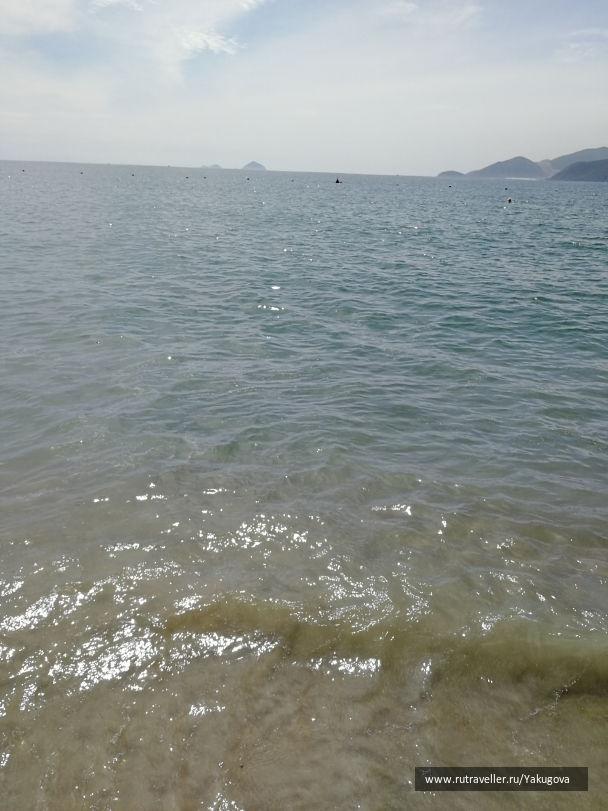 photo 1786317