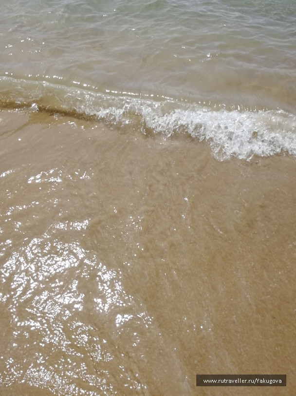 photo 1786318