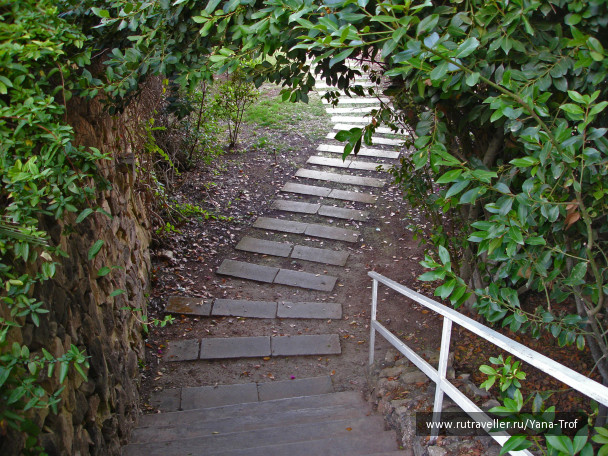 photo 235139
