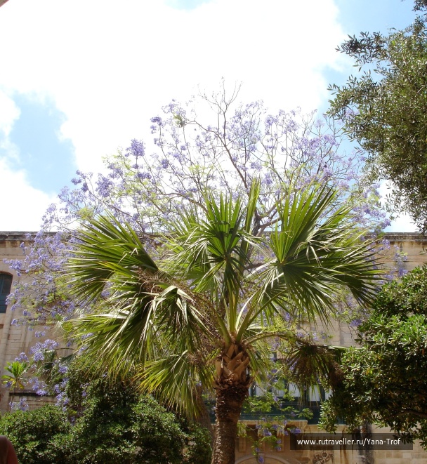 photo 235140