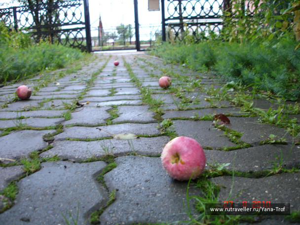 photo 235150