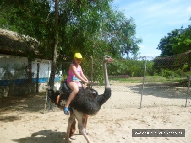photo 1298073