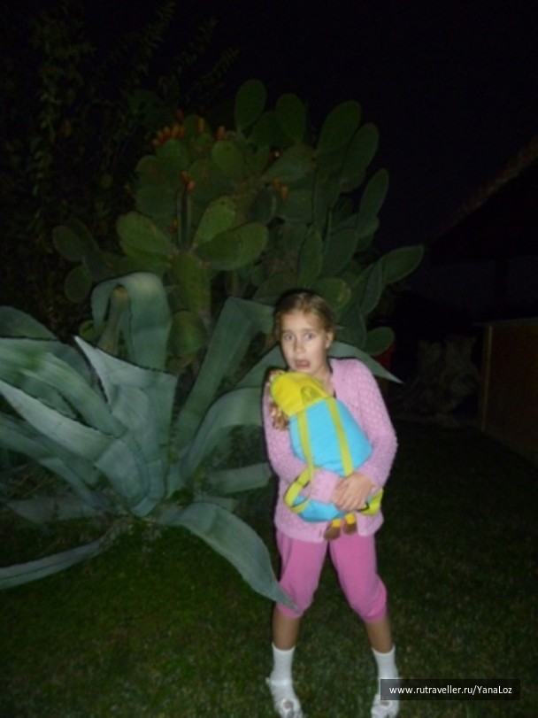 photo 1298087