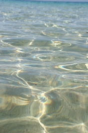 photo 123472