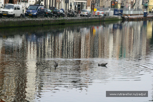 photo 141859