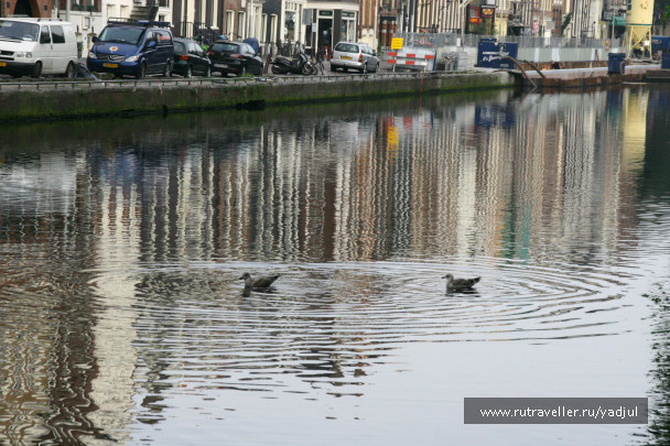 photo 141860