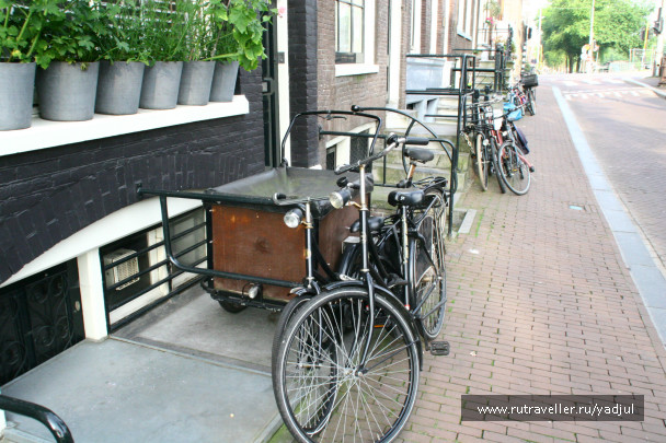 photo 141872