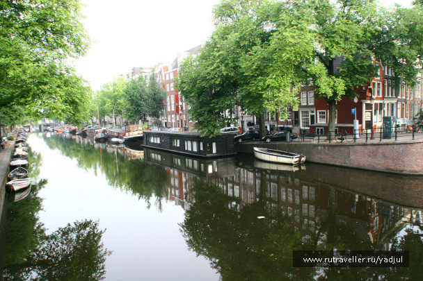 photo 141875