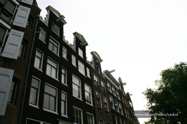 photo 141880