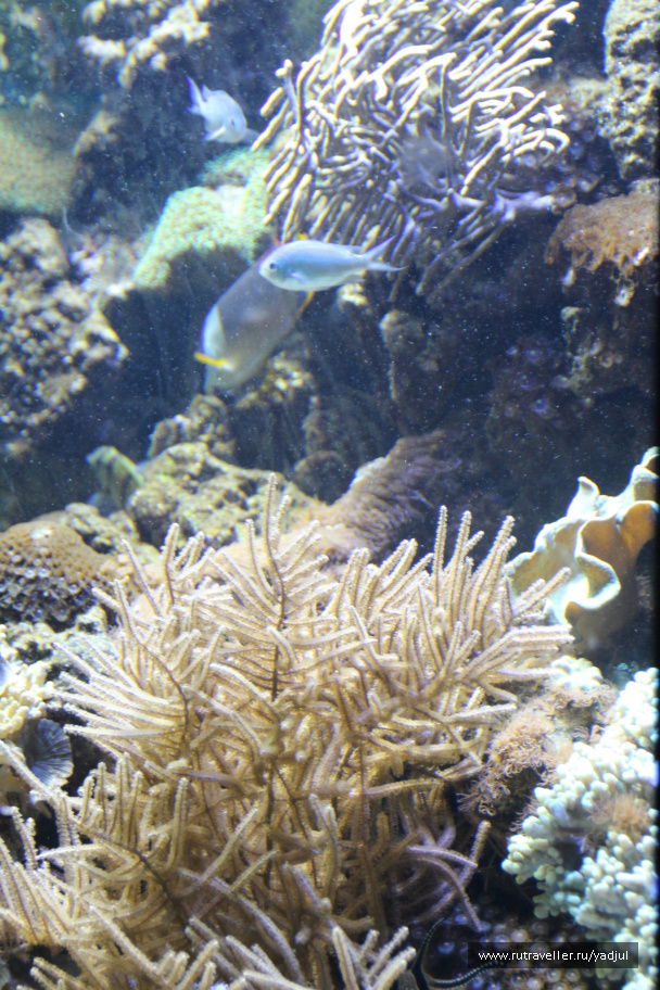 photo 165521