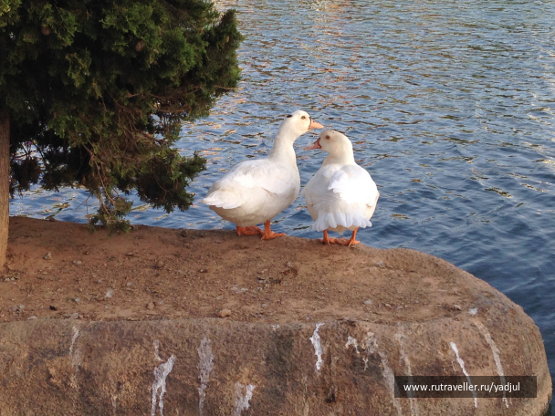 photo 1450519