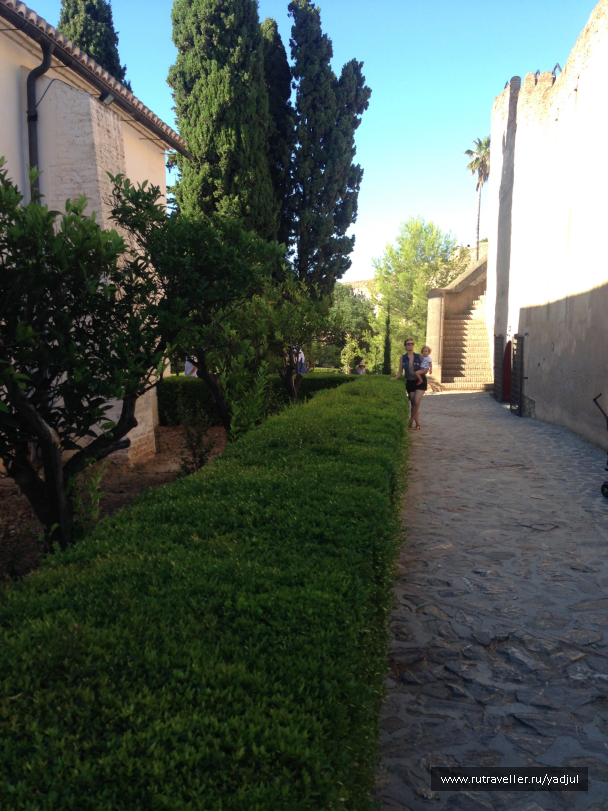photo 1450524