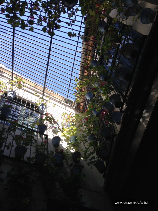 photo 1450542