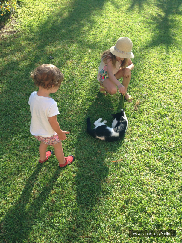 photo 1450557