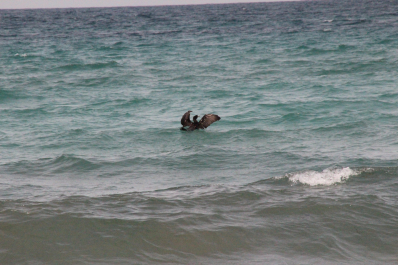 photo 1450567