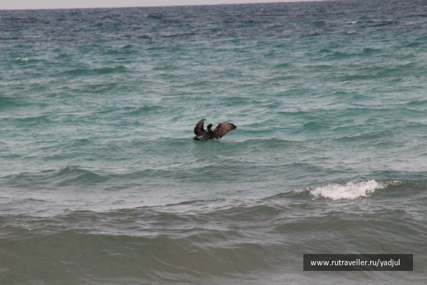 photo 1450567