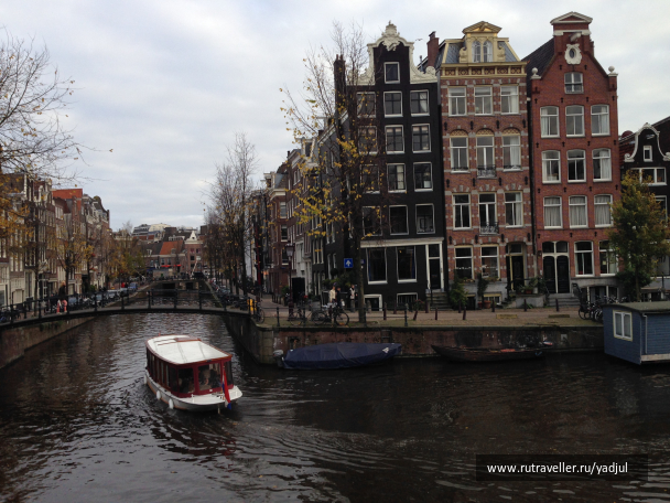 photo 1076995