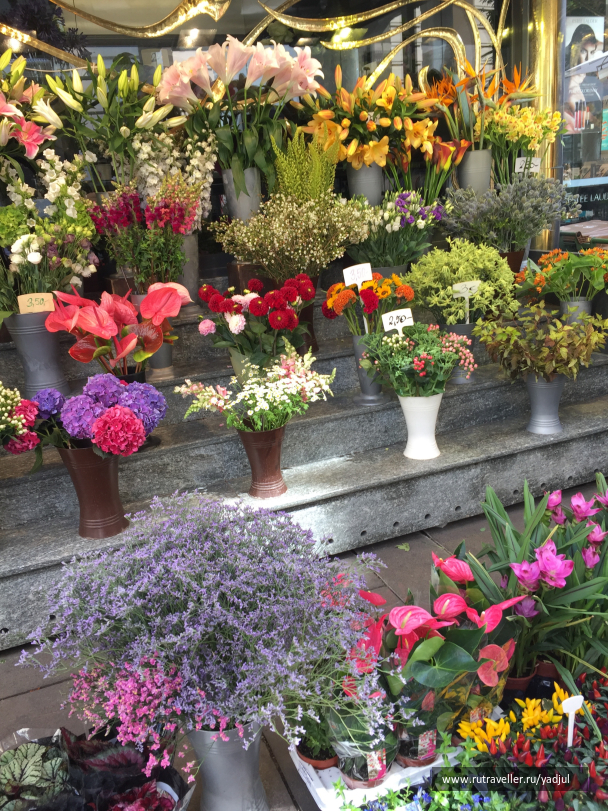 photo 1532461