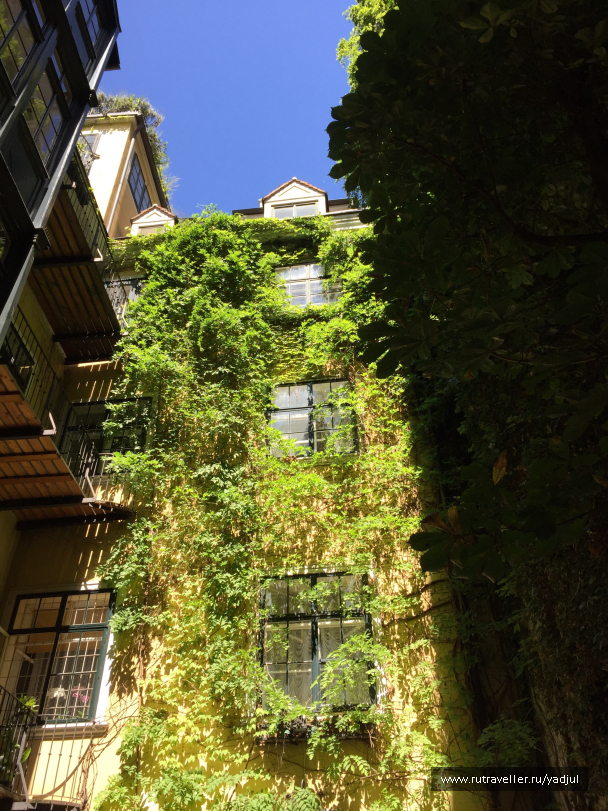 photo 1532468