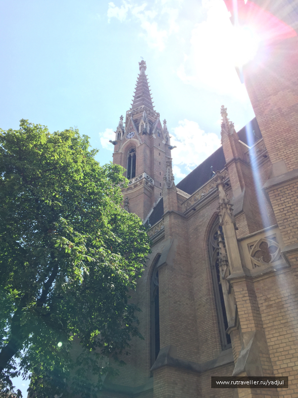 photo 1532488