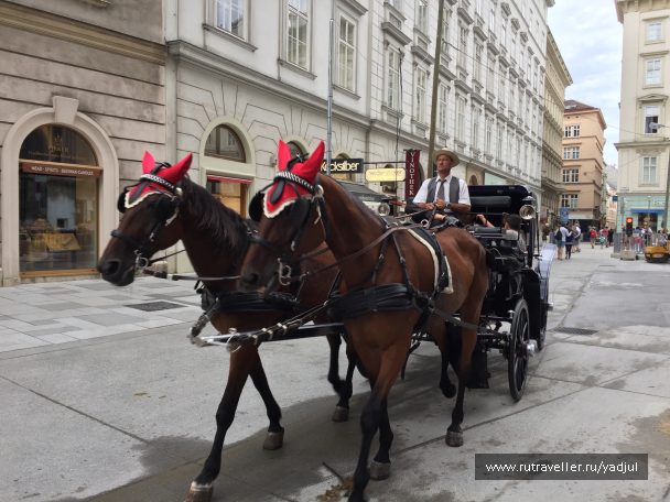 photo 1532527