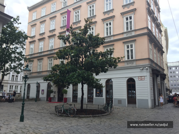 photo 1532540