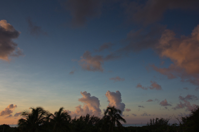 photo 1412030