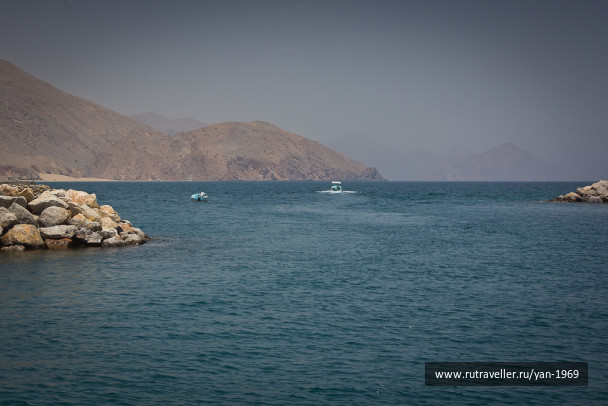 photo 1661282