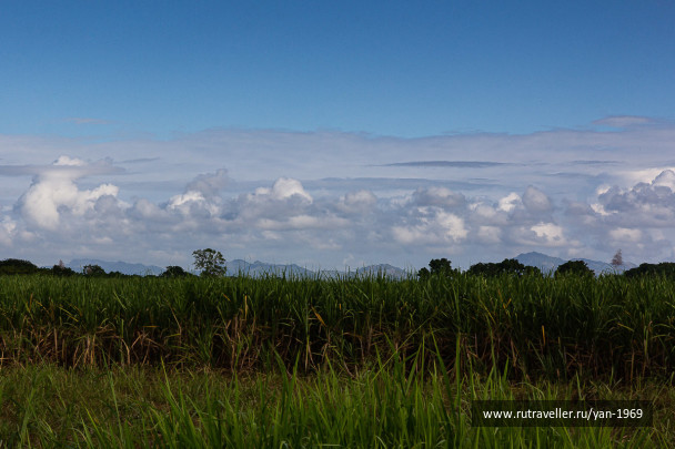 photo 1852004