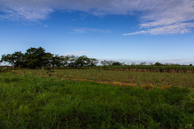photo 1852005