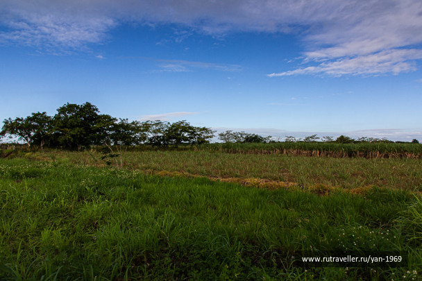 photo 1852005
