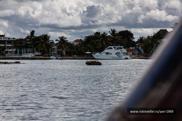 photo 1852943