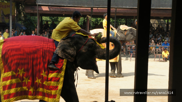 photo 392372