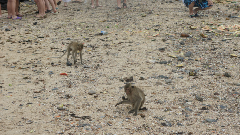 photo 395878