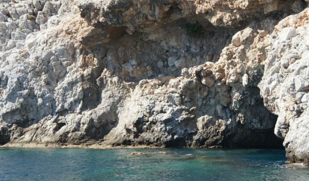 DSC09567