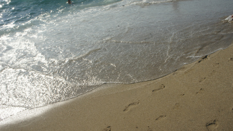 photo 557333