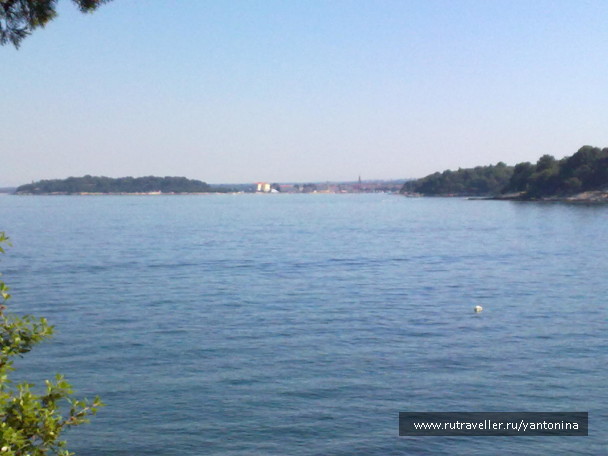 photo 242112